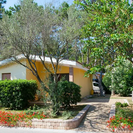 Villaggio Turistico Internazionale 비비오네