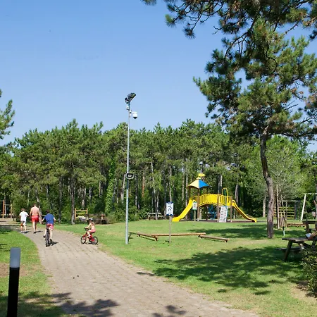 Villaggio Turistico Internazionale אתר נופש ביביונה