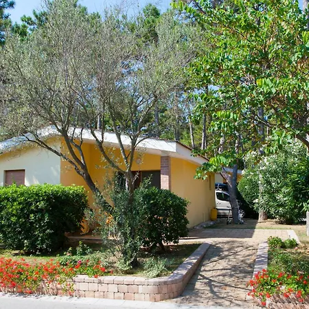 Feriested Villaggio Turistico Internazionale