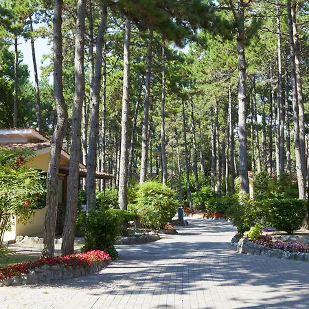 度假村 维拉格奥图里斯蒂科国际酒店